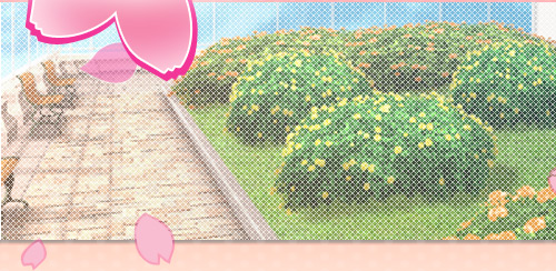 サラ(さら) サラ(さら)