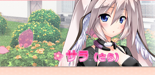 サラ(さら) サラ(さら)