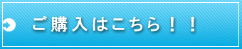 いますぐ購入する